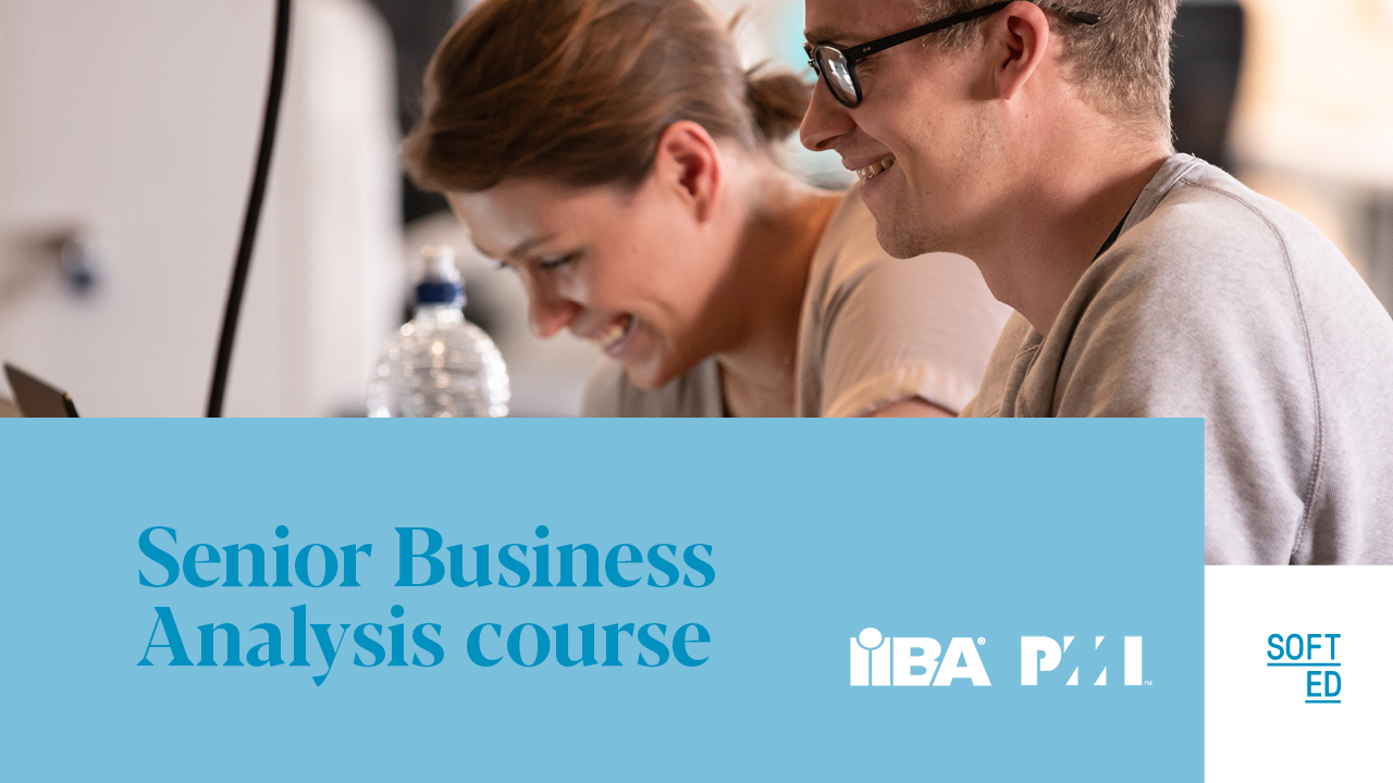 The Senior Business Analyst Senior Business Analysis Course SoftEd